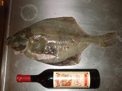 Plattfisch mit Rotweinflasche © Niclas