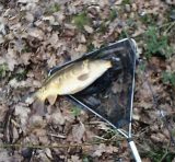 JD 2100f Image Data MACRO ON