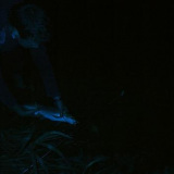 JD 2100f Image Data MACRO ON