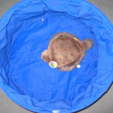 faltbarer-futtereimer-von-oben