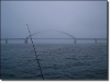 Fehmarnsundbrücke im Nebel